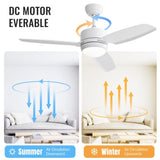 ZNTS 46 Inch New Design Ceiling Fan with Lights 3 ABS Blades 6-speed DC Motor W934P210808