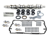 Camshaft Lifter Kit for 04-06 VW Golf Jetta New Beetle MK4 1.9 Diesel 038109101R 76332124
