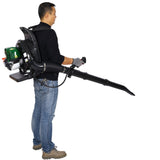 ZNTS 4-STROKE BACKPACK LEAF BLOWER,GAS 37.7cc,1.5HP 580CFM ,super light weight 16.5lbs W46551394