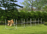 Dog Agility Set 19426425