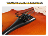 Brand new 4/4 acoustic matte tiger stripe violin set includes phonetic symbols sticker, tuner, 31801211