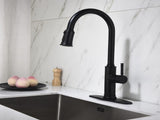 Single Handle Pull Down Kitchen Faucet with Dual Function Sprayhead 14563295