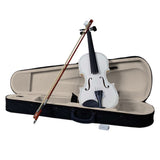 ZNTS New 4/4 Acoustic Violin Case Bow Rosin White 23313207