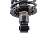 2x Rear Shock Strut w/Coil Spring Assembly fit for 2002 2003-2006 Honda CR-V 171380R 93067786