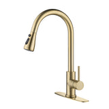 Single Handle Stainless Steel Kitchen Sink Faucet with Pull Down Sprayer W2287P354628