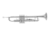 Brass Trumpet Bb with 7C Mouthpiece for Standard Student or Beginner Silver 03408510