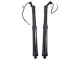 2X Tailgate Gas Struts Unit Assy Rear for Lexus NX300 NX300h 2.0L AZ10 2018-2021 68920-79017 06287096