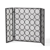 ZNTS FIRE SCREEN 65179.00BLKSILV