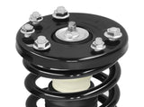 Pair Front Complete Struts w/Coil Springs Assembliy fit for Acura TSX 2009-2012 20539102