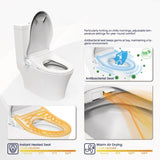 ZNTS Smart Bidet Toilet Seat with Side Knob Adjustable Heated Seat with Water Temperature and Pressure 06062802