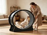 Wooden Cat Exercise Wheel 23208864