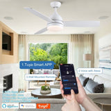 Smart 48 in. integrated LED Balck Ceiling Fan with Remote Contorl and Plywood Blades W1367P182811