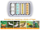 US 35 Egg Incubator with Automatic Egg Turning, Temperature and humidity 47236959