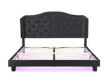 Upholstered Bed Button Tufted with Curve Design - Strong Wood Slat Support - Easy Assembly - Black W311P237227