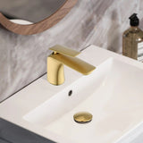 Single Hole Bathroom Sink Faucet with Pop Up Drain and Water Supply Hose, Single Handle Bathroom W1224P227855