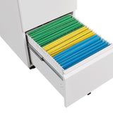 Metal 2 Drawer Mobile File Cabinet with Lock, Under Desk Office Steel Filing Cabinet, 25.6''H W1247125572