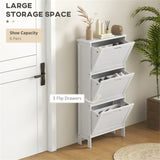 Shoe Storage Cabinet 02963492