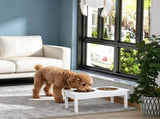 Elevated Dog Bowls 83494502