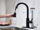 Single Handle Pull Down Kitchen Faucet with Dual Function Sprayhead 14563295