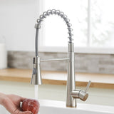 Commercial Brushed Nickel Kitchen Faucet with Pull out Sprayer, Single Handle Single Lever Kitchen W1932P288182