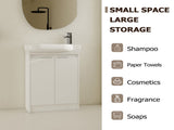 23" Freestanding Bathroom Vanity with Sink, Soft Close Doors W999P206105