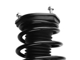 Rear Passenger Strut w/Coil Spring fit for 2004-2006 Toyota Camry Solara Lexus ES330 95800009