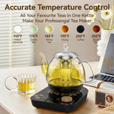 Compact Tea Maker Electric Glass KettleDual Methods of Steaming and Brewing with Temperature and 83847908