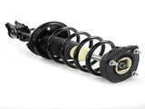 2pcs Rear Struts & Coil Springs Assembly for Hyundai Elantra 2000 - 2006 77047142