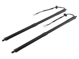 Rear LH & RH Trunk Lift Support Strut Shock Fit for Nissan Rogue S SL SV 2014-2019 18341377