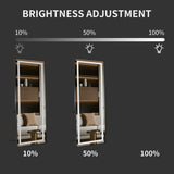 64 inch x 21 inch full-length vertical mirror with LED light, illuminated floor mirror with bracket, W2709P305306