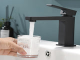 Black Bathroom Faucet, Brushed Black Faucet for Bathroom Sink, Black Single Hole Bathroom Faucet W1932P156219