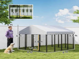 Dog Kennel Outdoor 20976984