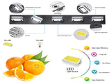 Modern 5-Light LED Vanity Light - Sleek Bathroom Wall Fixture, Iron & Acrylic, Dimmable & W1340P206800