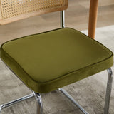 Mid Century Modern Dining Chairs Set of 2, Velvet Accent Chairs with Natural Cane Back & Stainless W1143P168320