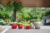 Handmade Ceramic Flower Pot Set of 3, 15/12/10 Inch Diameter, Deep Red with Floral Embossed Pattern, W3273P321489