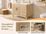 30-Inch Bathroom Vanity with Ceramic Sink, Soft-Close Doors and Drawers, Modern Traditional N729P512871N