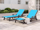 Outdoor Pool Lounge Chairs Set of 2, HDPE Patio Lounge Chair with Wheels, Chaise Lounge Chair for W1859P615619