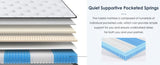 Queen Size Mattress,10 Inch Hybrid Mattress, Individually Pocketed Innerspring, Medium Firm W2889P310472