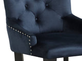 Varian II Dark Navy Velvet & Black Finish Side Chair B2726P268182