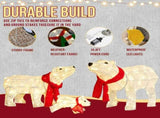Set of 3 Lighted Polar Bear Family Christmas Decorations, Pre-lit Holiday Decor with 190 Warm White 14959507