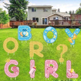 ZNTS 10PCS Gender Reveal Yard Sign With Stakes Boy or Girl Baby Shower Party Supplies for Indoor Outdoor 42706140