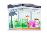 2-Gallon LED Glass Aquarium with Temperature Display, Adjustable 7-Color Lighting, Self-Cleaning 38467583