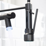 LED Commercial Kitchen Faucet with Pull Down Sprayer, Single Handle Single Lever Kitchen Sink Faucet W1932P172306
