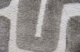 Luna Meara Gray and Ivory Recycled Polyester Area Rug B055P367191