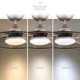 Light Pro 22 in. LED Indoor Coffee Smart Ceiling Fan with Remote Control T3177P284012