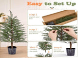 2 Pack 4FT Artificial Potted Trees, Dark Green PE Faux Plants with 342 Open Branch Tips, Black 17839116