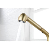 Single Handle Kitchen Sink Faucet with Pull Out Sprayer W2287P154031