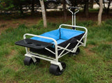 Folding Wagon Garden Shopping Beach Cart W227P193330