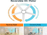 44 inch Ceiling Fans with Lights, Large Air Volume Ceiling Fans with Reversible Quiet DC Motor and 68742749