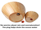 2-Pack 10 in. Light Wood Plastic Self-watering Planter Pot B046P144618